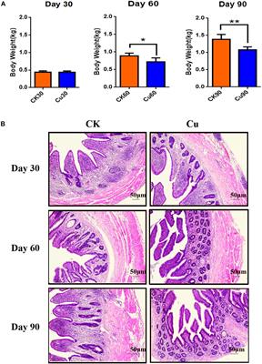 Effects of Subchronic Copper Poisoning on Cecal Histology and Its Microflora in Chickens